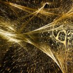 Künstliche Intelligenz trifft kölsche Kultur: Die Verbindung von Tradition und Innovation